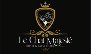 logo noir chat majesté