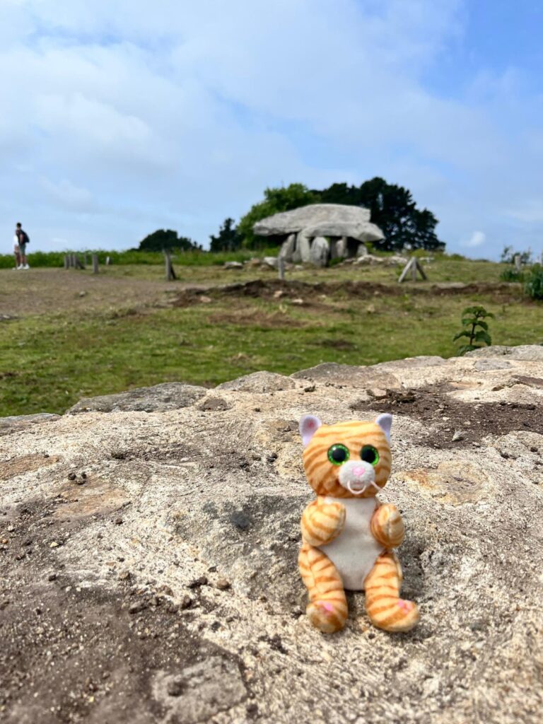 Arthur le Chat dans le Golfe du Morbihan